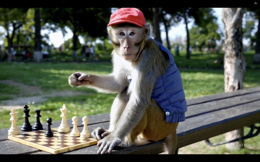 1708908494101364.png ec5a1dd5153608eb1438d7dd2ed25861.png