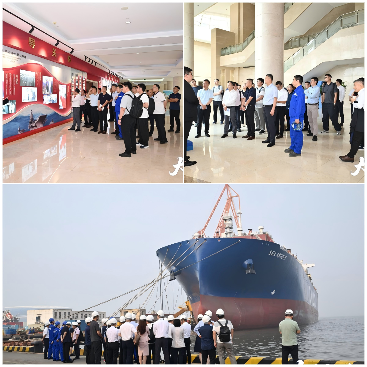 1752632518906133.png 02f9620a127cd029441ed03bfdbabbca.png