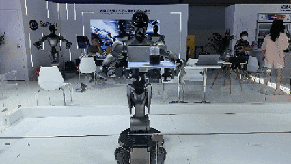 1753841335629383.gif 1753841335629383.gif